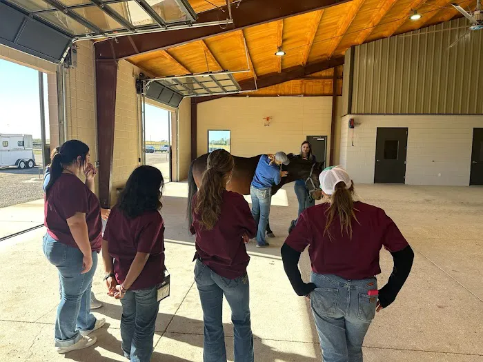 Brazos Valley Equine Hospitals 12