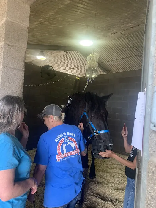 Brazos Valley Equine Hospitals 12