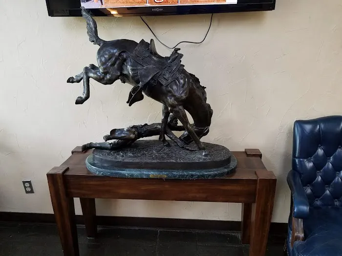 Brazos Valley Equine Hospitals 12
