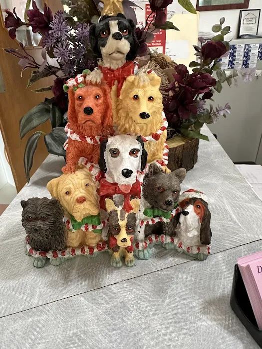 Dewberry Hill Veterinary Hospital 12