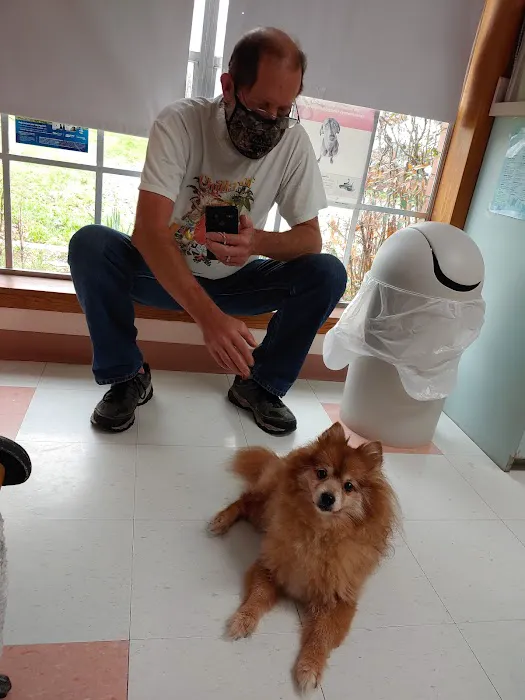 Dewberry Hill Veterinary Hospital 12