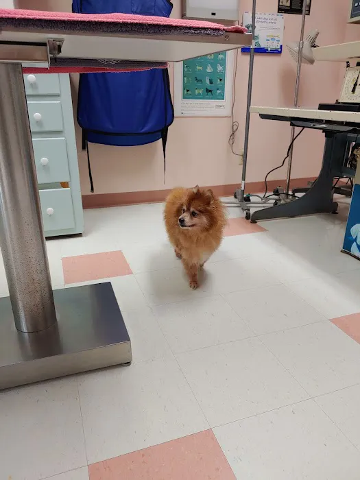 Dewberry Hill Veterinary Hospital 12