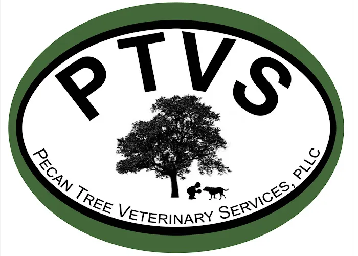 Pecan Tree Veterinary Services 12
