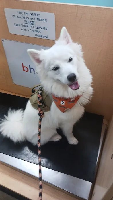 Banfield Pet Hospital 4