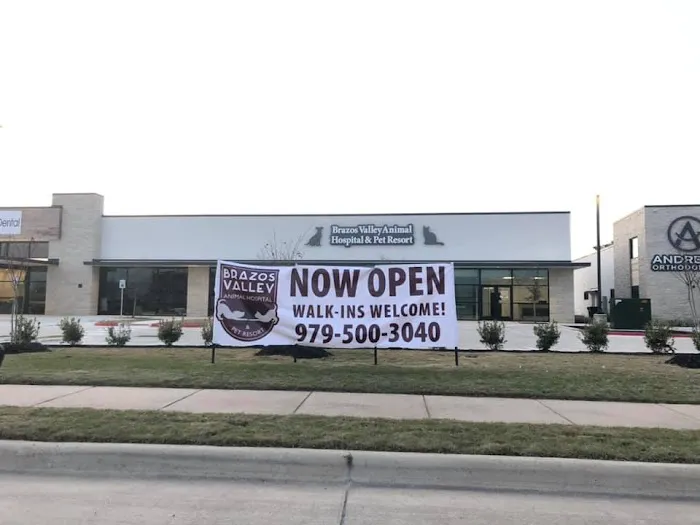 Brazos Valley Animal Hospital and Pet Resort 12