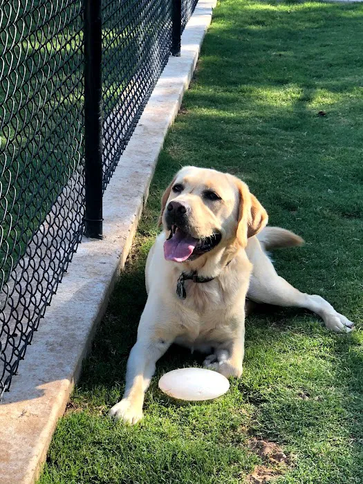 Brazos Valley Animal Hospital and Pet Resort 12