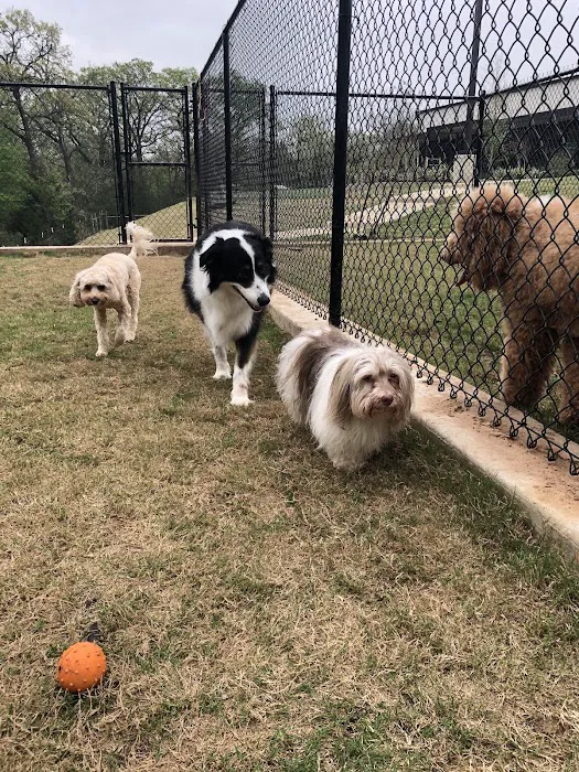 Brazos Valley Animal Hospital and Pet Resort 12