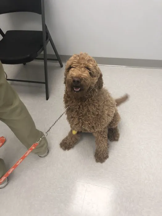 Brazos Valley Animal Hospital and Pet Resort 12