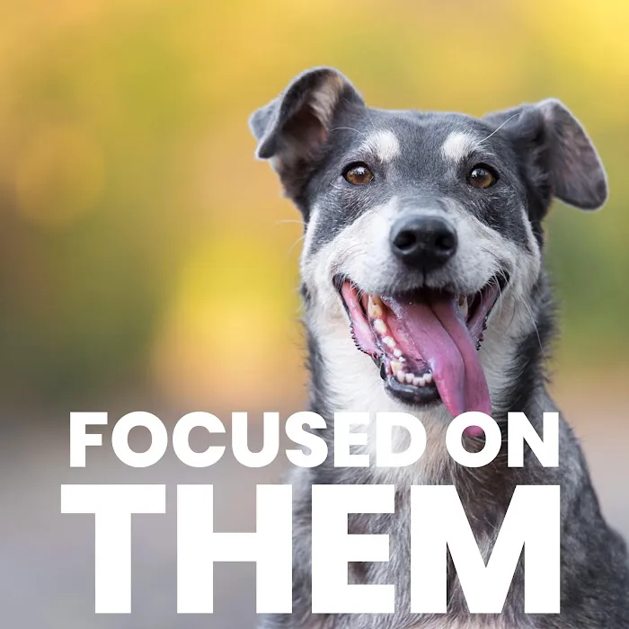 Chasing Tails Mobile Veterinary Services College Station 12