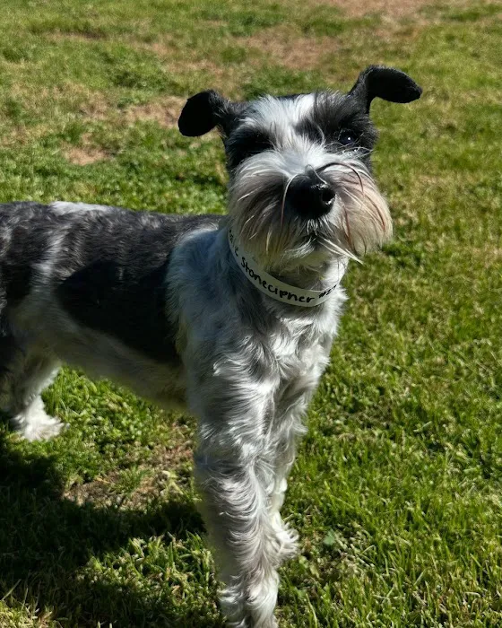 Aggieland Animal Health Center & Pet Resort 5