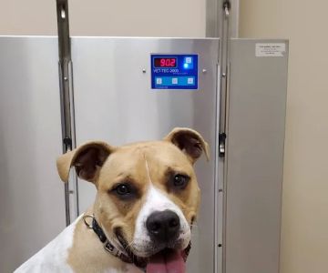 Twins Veterinary Hospital