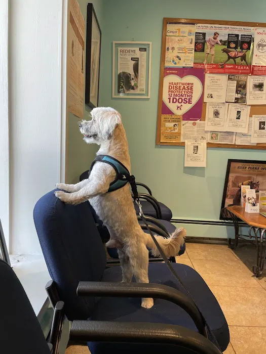 Brentwood-Islip Hospital for Animals 12