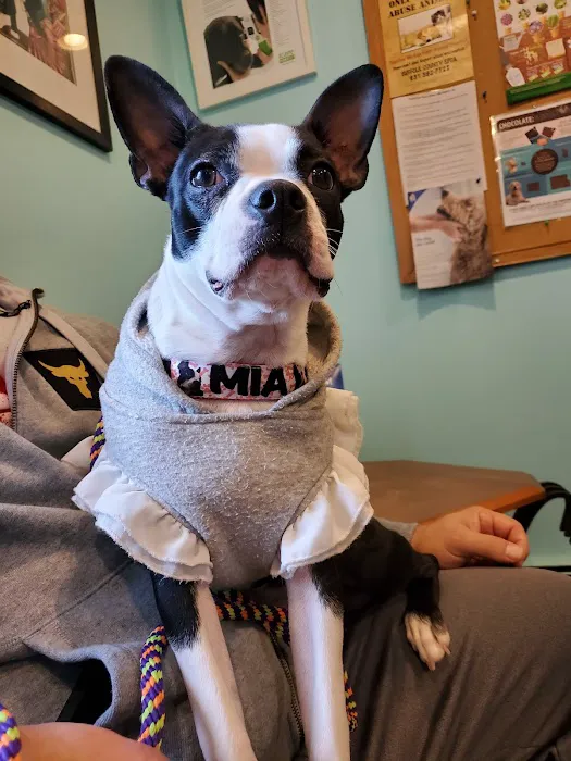 Brentwood-Islip Hospital for Animals 12