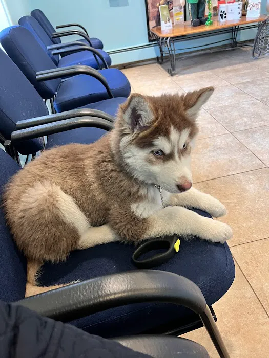 Brentwood-Islip Hospital for Animals 12