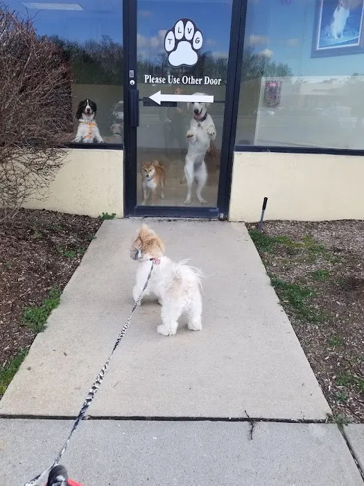 Towne Line Veterinary Group 12
