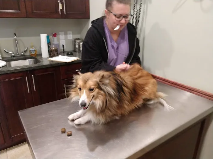 Towne Line Veterinary Group 12
