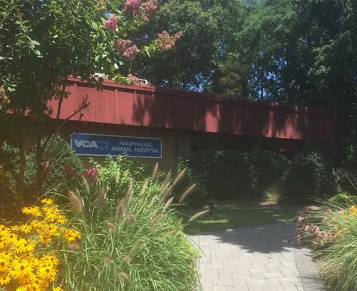 Hauppauge Animal Hospital 12