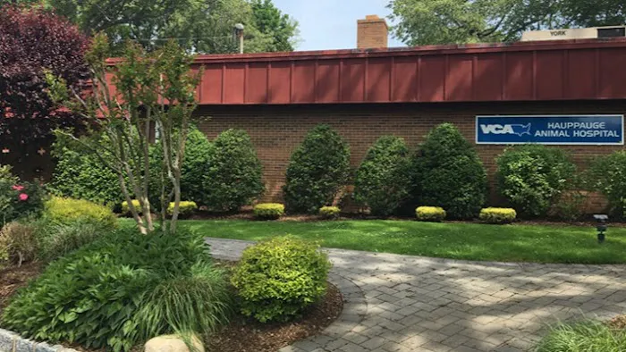 Hauppauge Animal Hospital 12