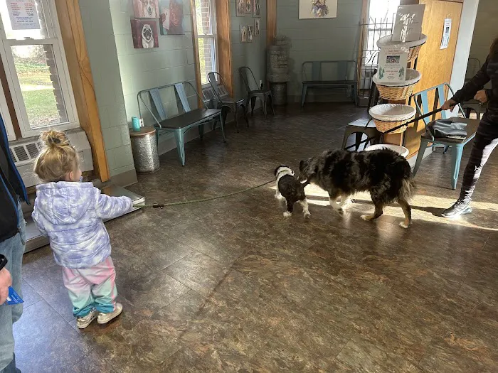 Hauppauge Animal Hospital 12