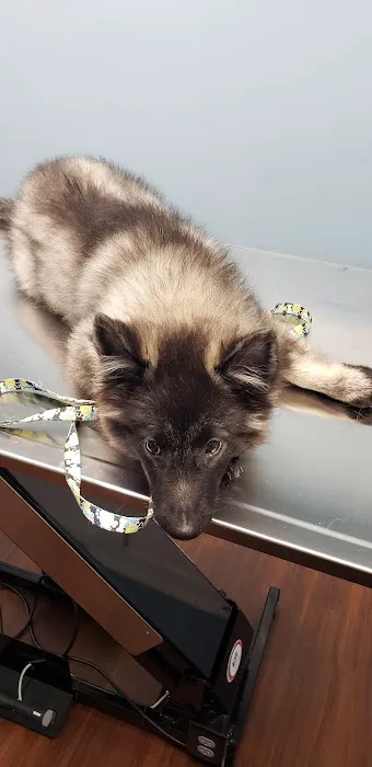 St James Animal Hospital 12
