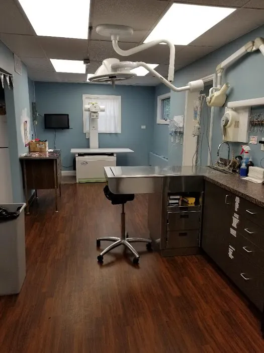 St James Animal Hospital 12