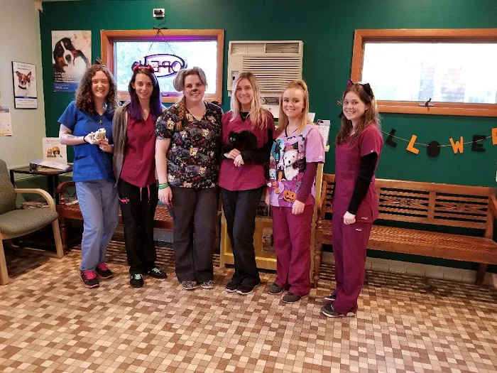 St James Animal Hospital 12