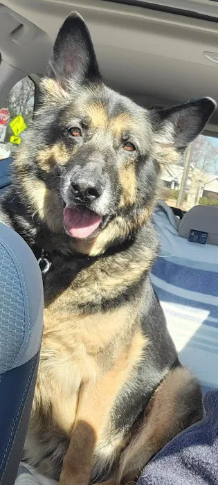 Animal Hospital of Nesconset Dr. Mary Leister 12