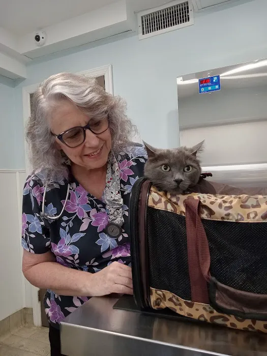 Animal Hospital of Nesconset Dr. Mary Leister 12