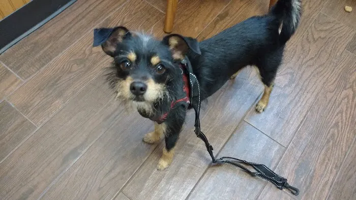 Smithaven Veterinary Hospital 12