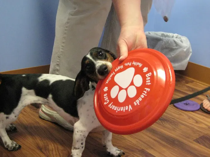 Best Friends Veterinary Care 12