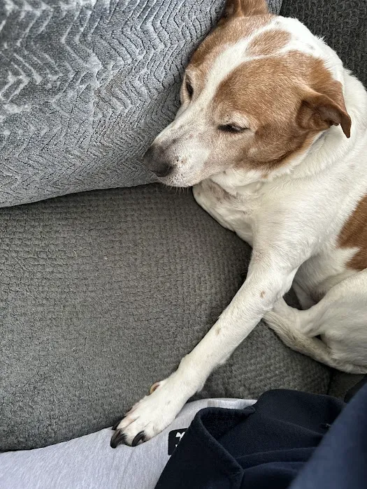 Banfield Pet Hospital 12