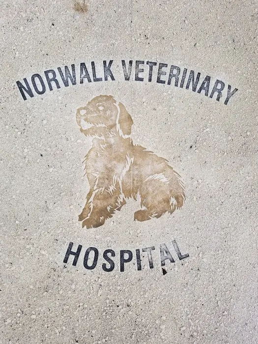 Norwalk Veterinary Hospital and The Boarding House 12