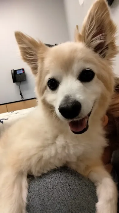 Banfield Pet Hospital 12