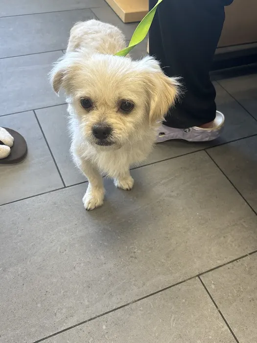 Banfield Pet Hospital 12