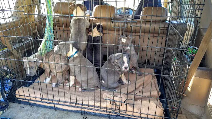 Family Pet Veterinary Hospital 8