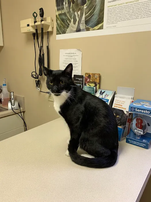 Family Pet Veterinary Hospital 2
