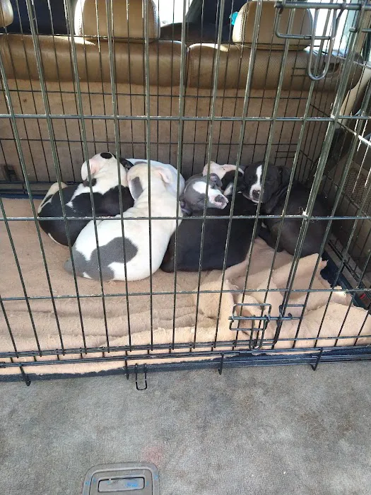 Family Pet Veterinary Hospital 9