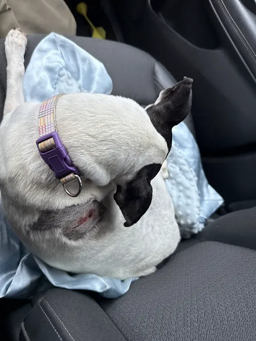 Family Pet Veterinary Hospital 5