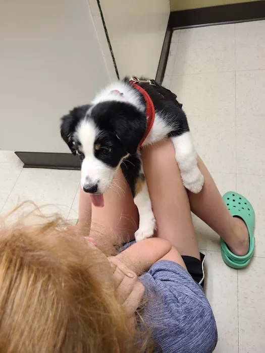 Jones Animal Hospital 10