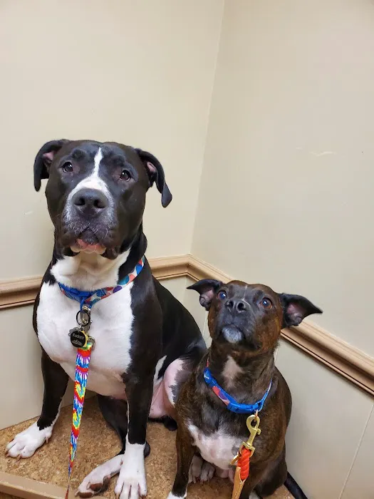 Jones Animal Hospital 5