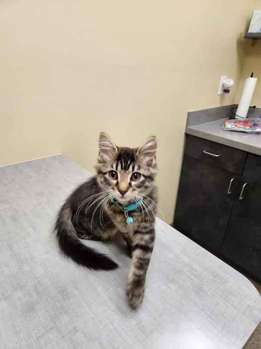 Jones Animal Hospital 4