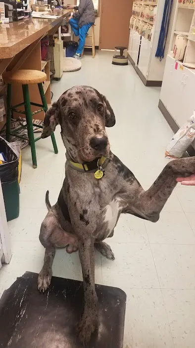 Jones Animal Hospital 6