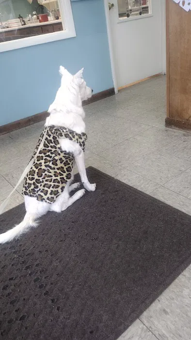 Animal Medical Clinic 5