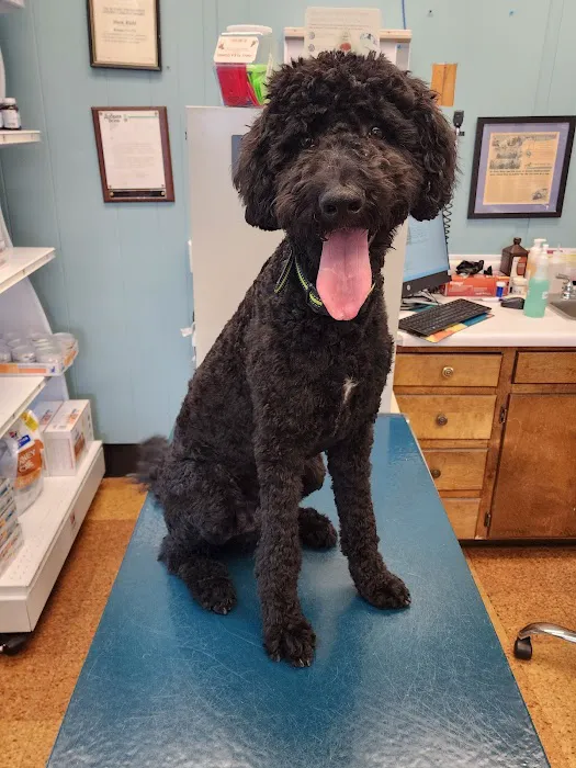 Animal Medical Clinic 9