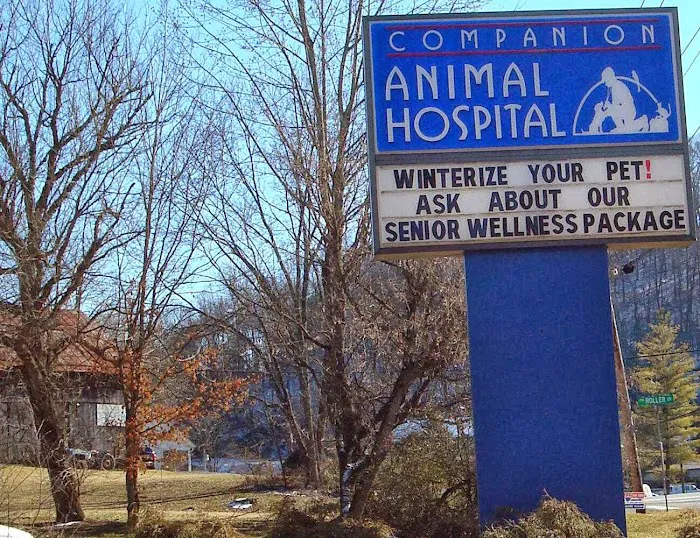 Companion Animal Hospital 12