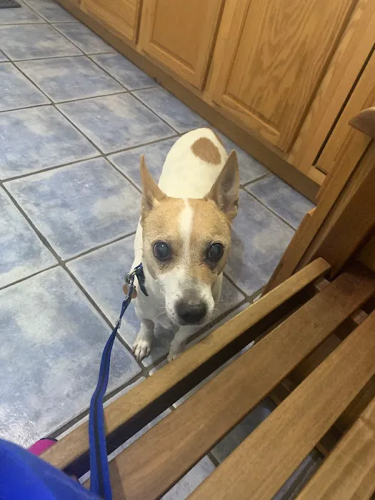 Cherry Point Animal Hospital 12