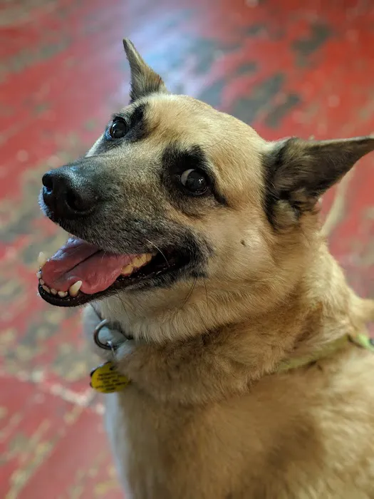 Cherry Point Animal Hospital 12