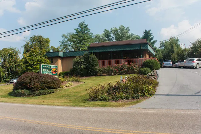 Colonial Heights Animal Hospital 12