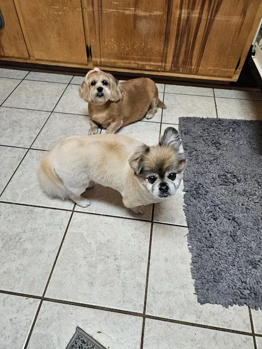 Colonial Heights Animal Hospital 12