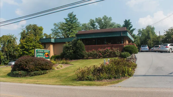 Colonial Heights Animal Hospital 12